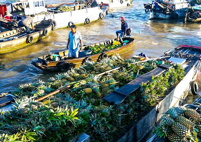 Cai Rang's floating market is a timeless tradition Cai Rang's floating market is a timeless tradition