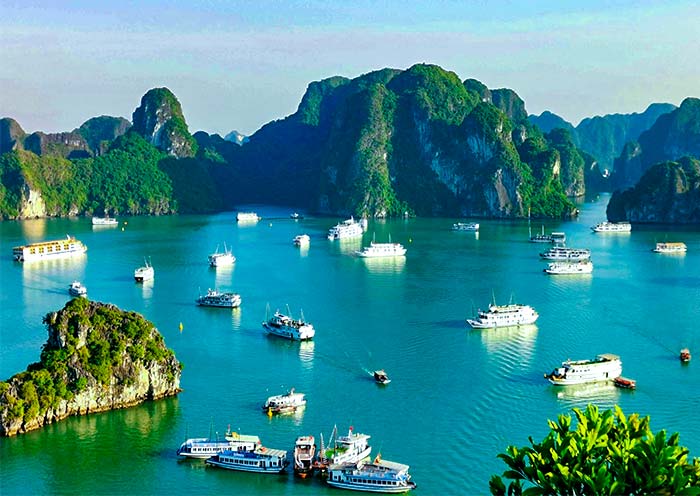 How to Get from Hanoi to Halong Bay? (2025 Ultimate Guide)