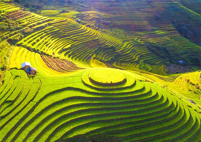 Sapa rice terraces, a UNESCO World Heritage Site