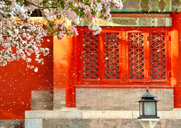 Palace of Beijing Forbidden City