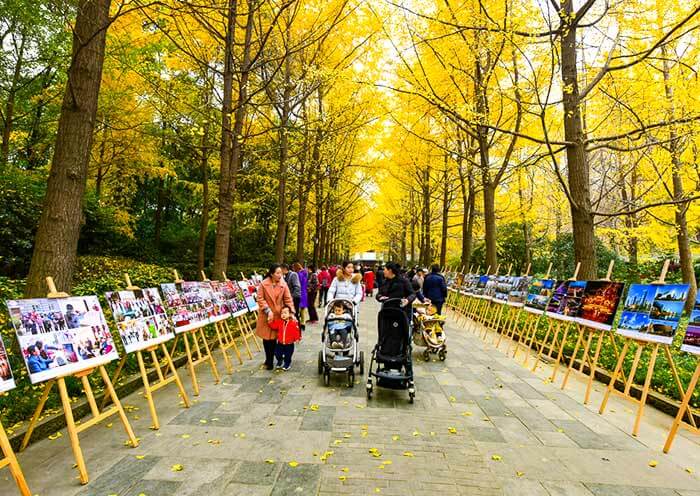 Stroll Leisurely in Renmin Park