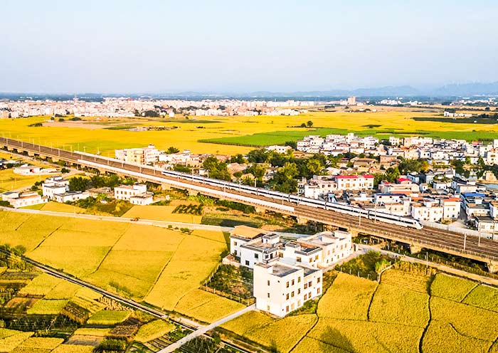 Discovering China's Beauty Aboard High-Speed Trains