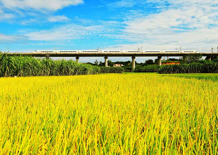 Picturesque Adventure on China's High-Speed Trains