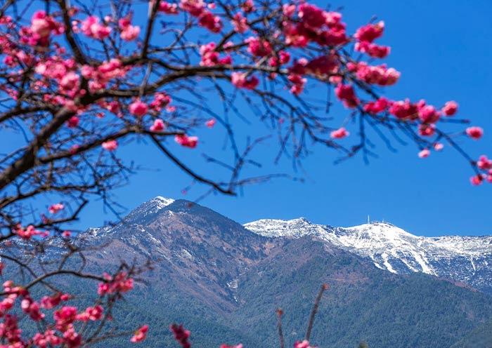 Yunnan Mountains: 10 Most Beautiful Mountains in Yunnan (2025)