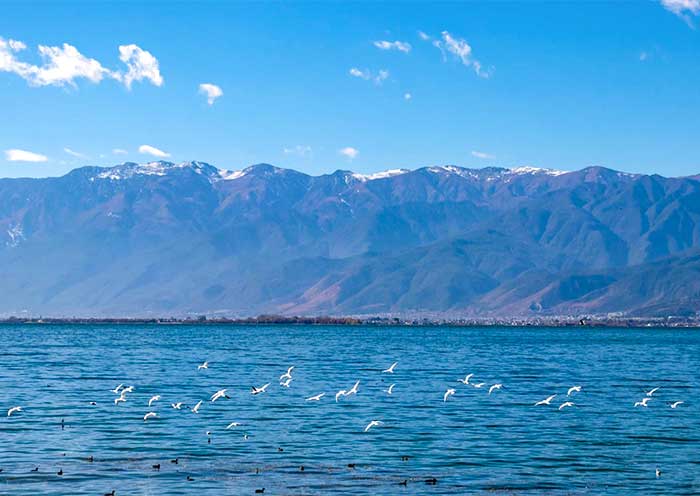 Dali Erhai Lake: Erhai Yunnan, China (2025 Guide)