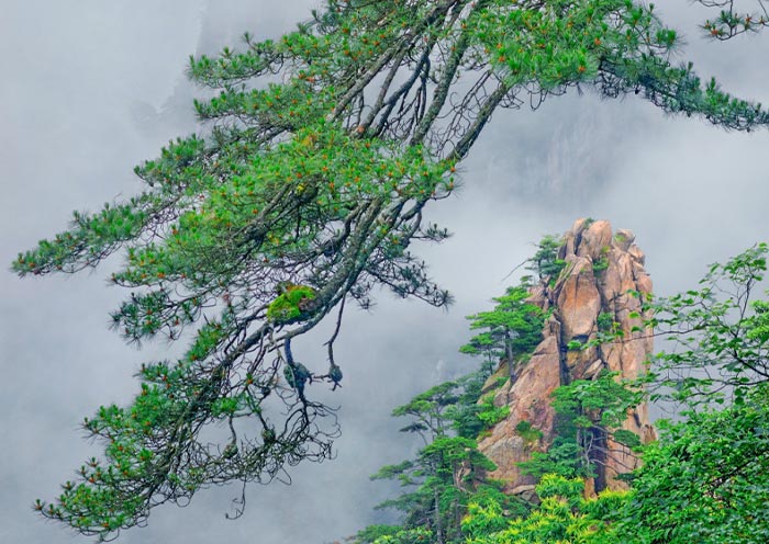 Huangshan tour