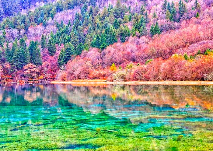 How to Plan A Trip to Jiuzhaigou National Park 2025