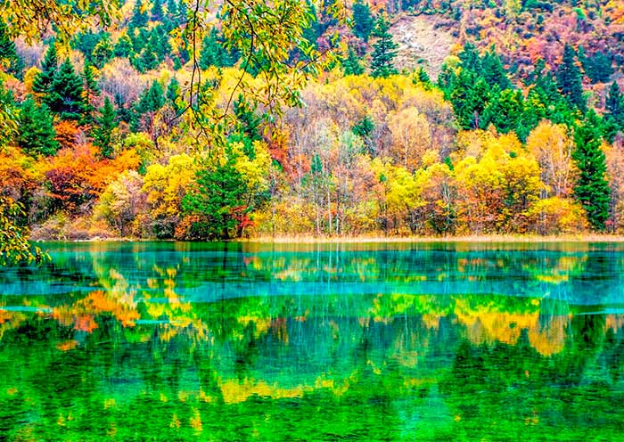 Crystal-clear lakes of Jiuzhai Valley