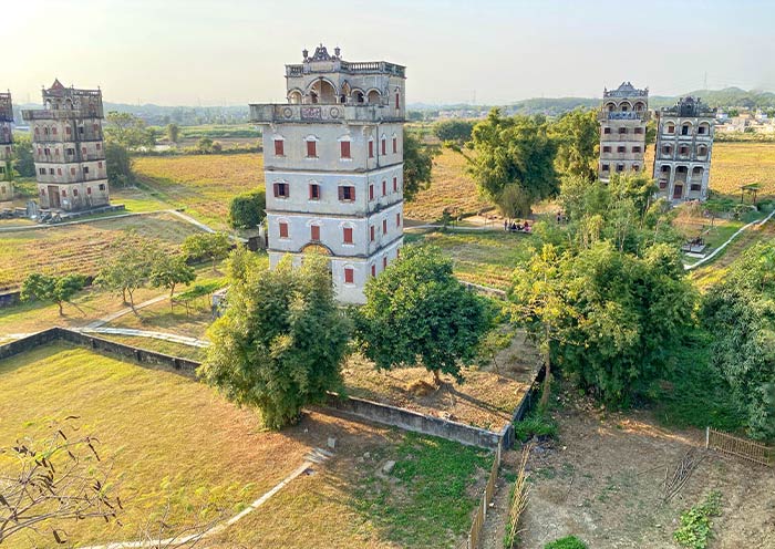 Ancient 'kapok king' draws visitors in Guangzhou 