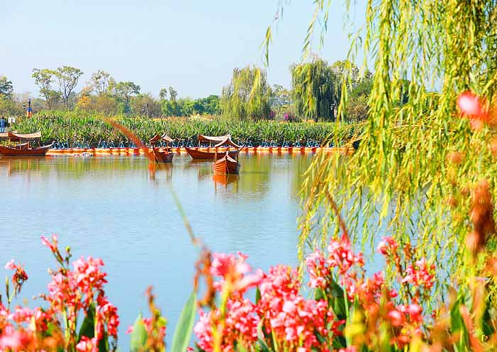 Kunming Dianchi Floral Scence