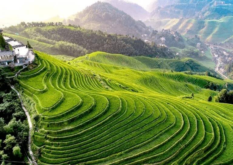 Longji Rice Terrace - Dazhai Longji Rice Terrace - Dazhai