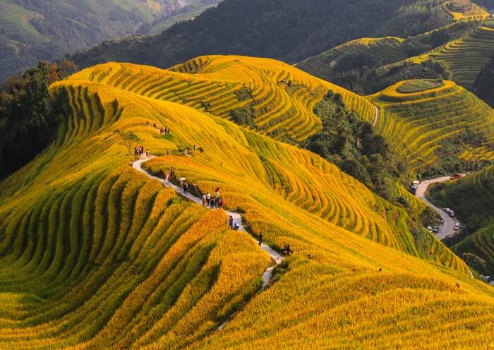 China Rice Terraces: Top 6 Rice Fields in China