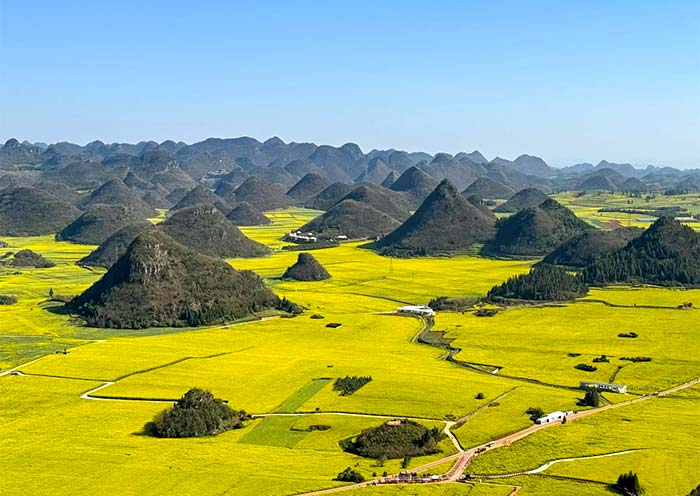 Yunnan Spring Tour to Rapeseed Flowers