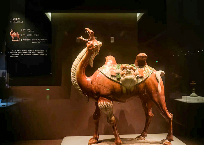Luoyang Museum