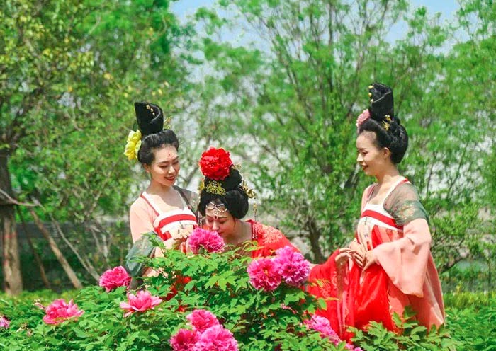 Attend Luoyang Peony Festival in April