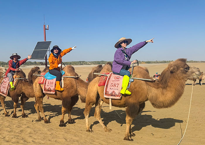 Mingsha Mountain Camel Ride