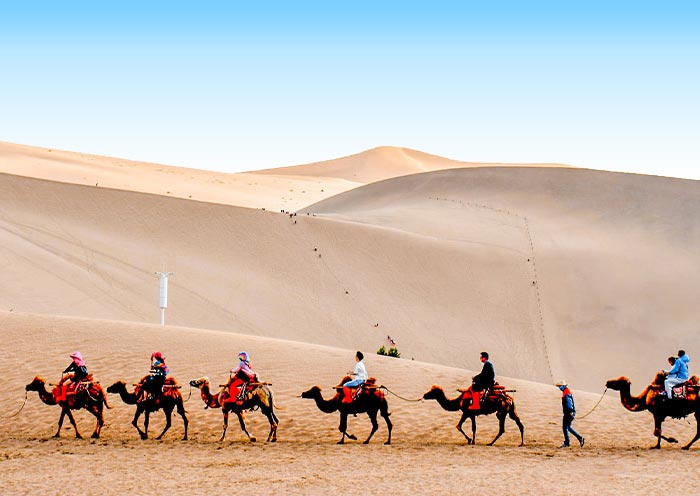 Experience Camel Riding at Mingsha Mountain