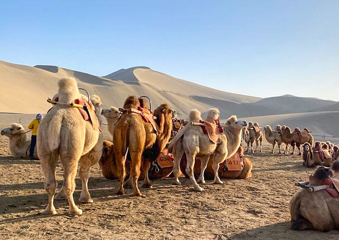 Dunhuang