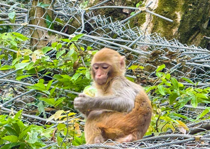 Qianling Park Qianling Park