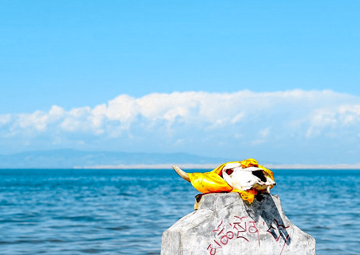 Qinghai Lake