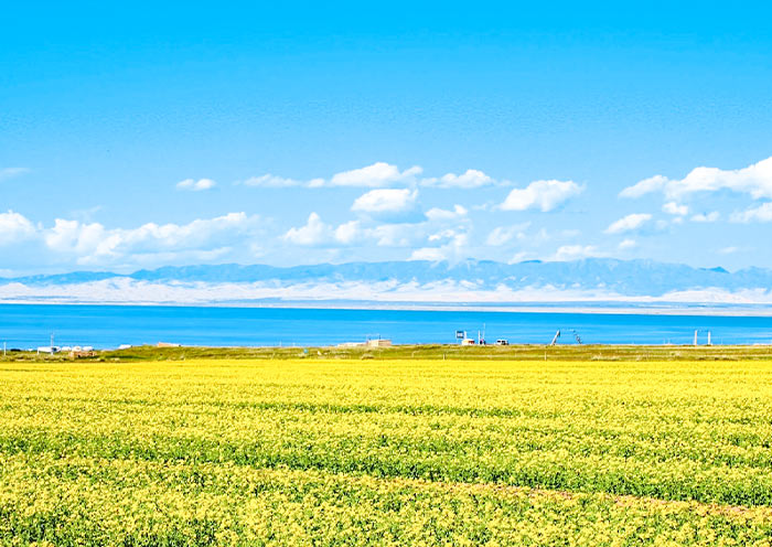 Qinghai Lake (Kokonor Lake) - Largest Lake in China