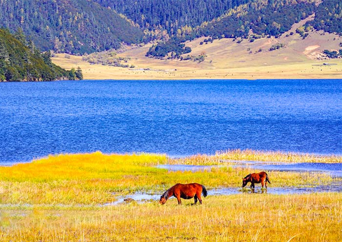 Idyllic Potatso National Park, Shangri-La