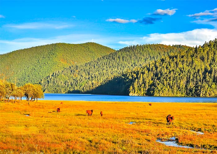 Shangri-La Pudacuo National Park Autumn View