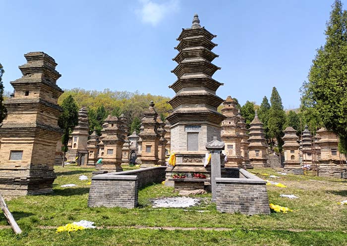 the Pagoda Forest