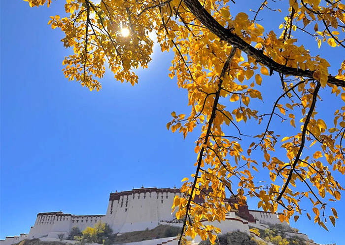 Tibet Autumn