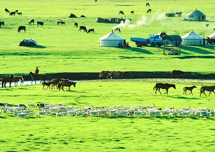 Ulan Butong Grassland Ulan Butong Grassland