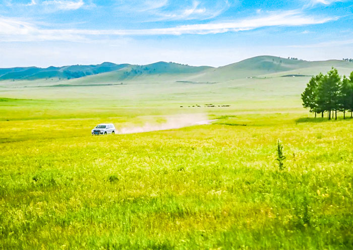 Ulan Butong Grassland Sarifi Ulan Butong Grassland Sarifi
