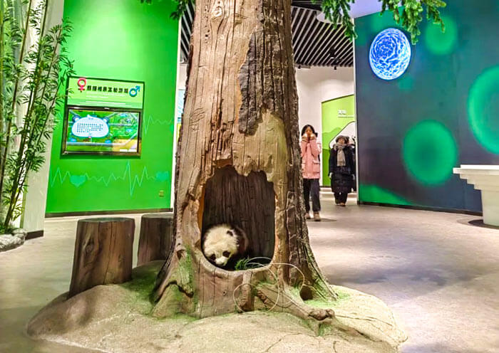 Wolong Giant Panda Museum