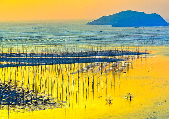 Xiapu Mudflat (Fujian)