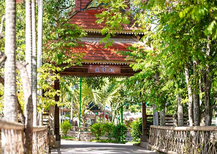  Manzhang Dai Village, Xishuangbanna