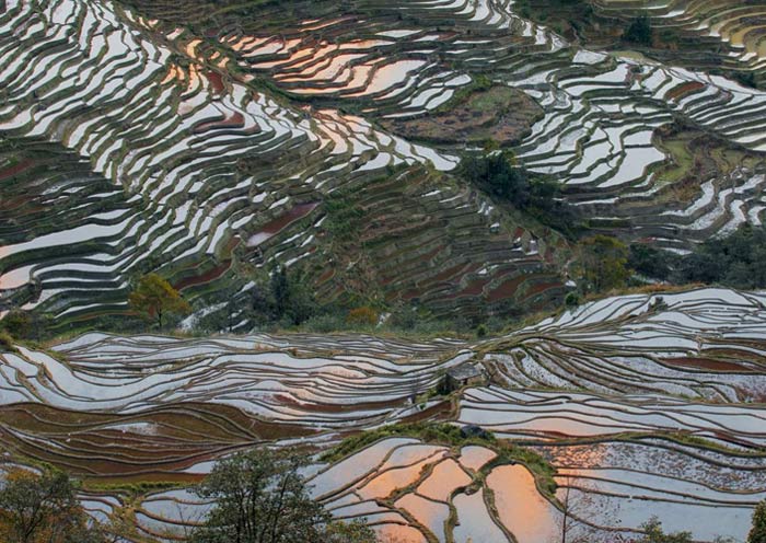 Waiting for sunset at Bada Rice Terraces