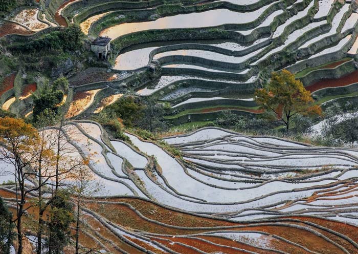 Mirrors on the Land, Bada Rice Terraces