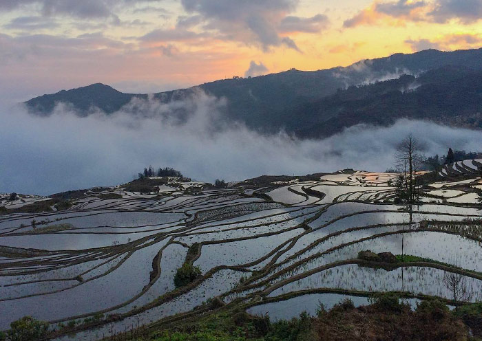 Wake up in the mist of Duoyishu Rice Terrace Wake up in the mist of Duoyishu Rice Terrace