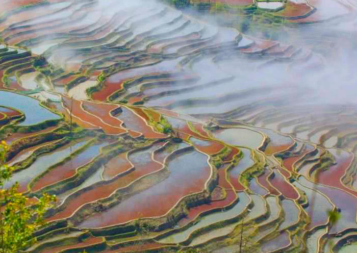 When Morning Mist dance with the Rice Terraces