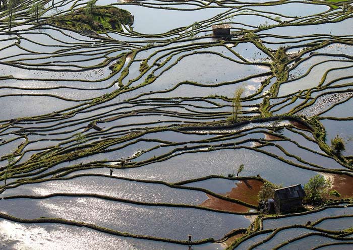 Thousands of Mirrors created by the Hani people, Yuanyang