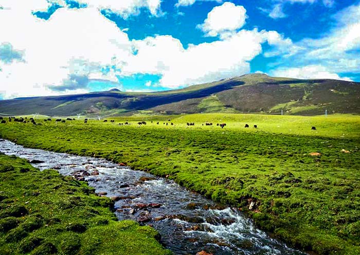 Bangda Grassland, Tibet