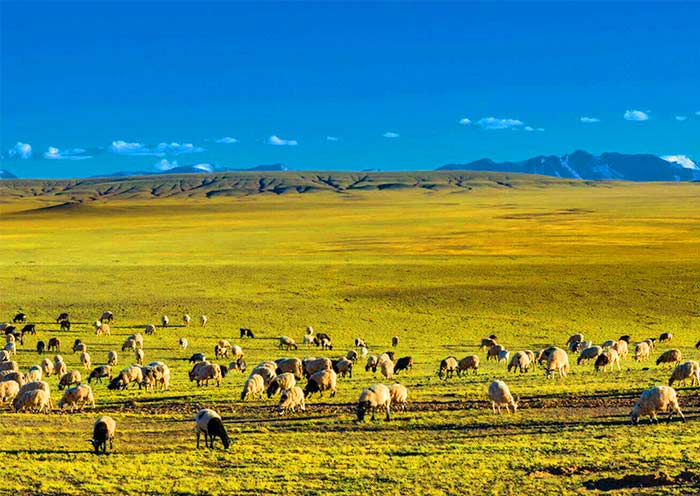 13 Days Sichuan Yunnan Tibet Group Tour Via Sichuan Tibet Highway