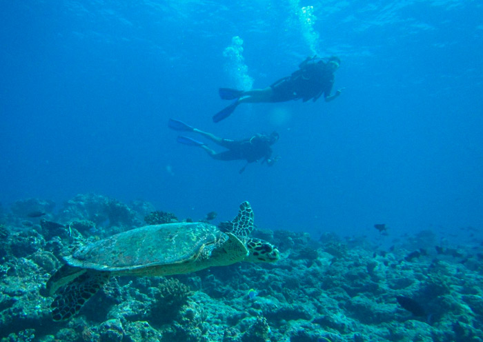 Adaaran Select Hudhuran Fushi, Maldives 