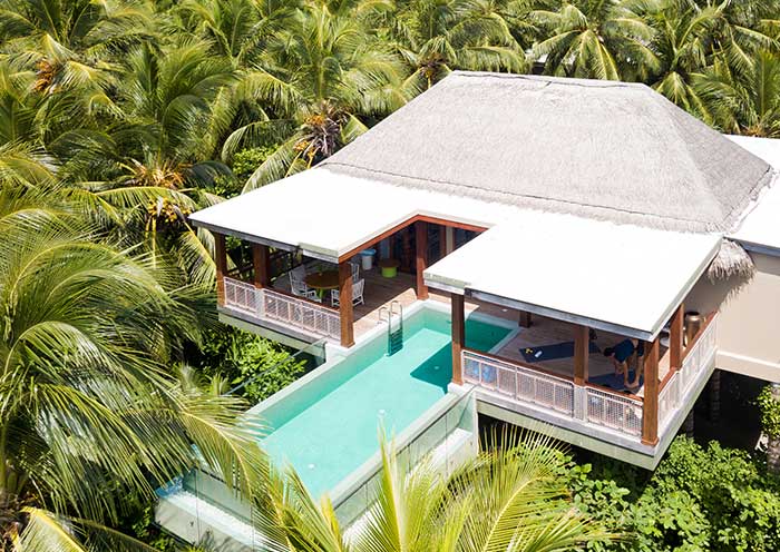 Amilla Fushi Treetop Pool Villa
