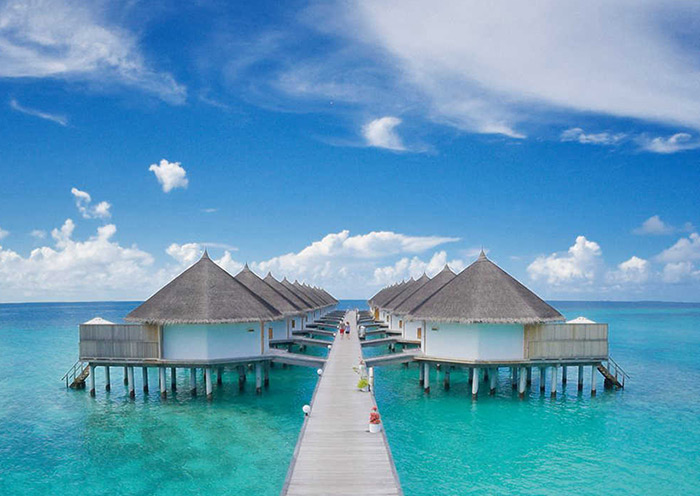 Premium Water Bungalow
