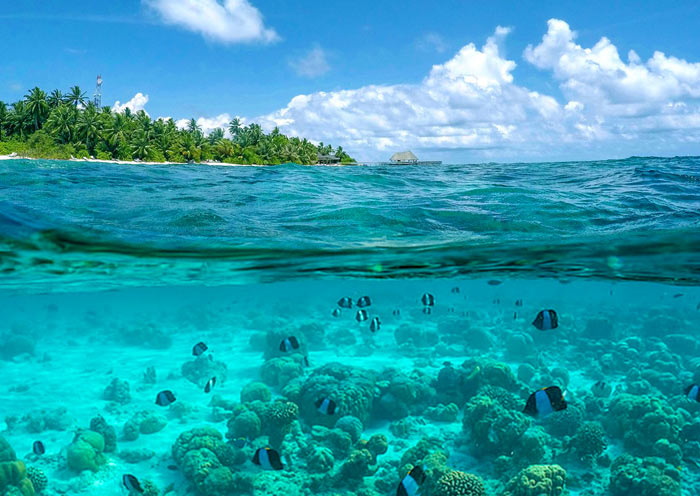 Snorkeling