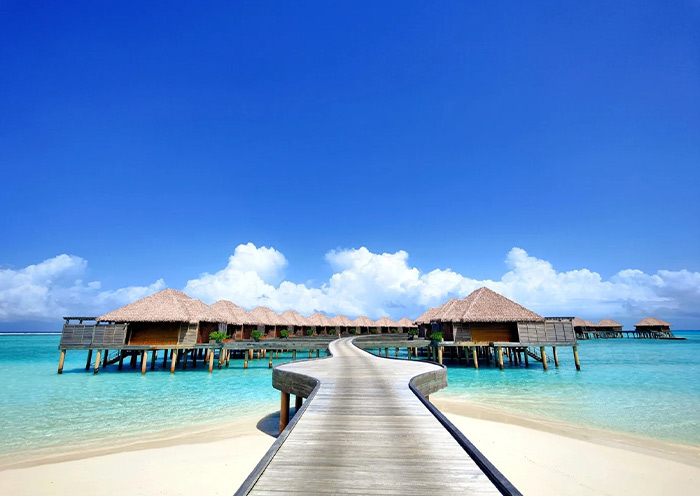 Barceló Whale Lagoon Maldives
