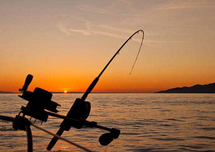 Sunset Fishing