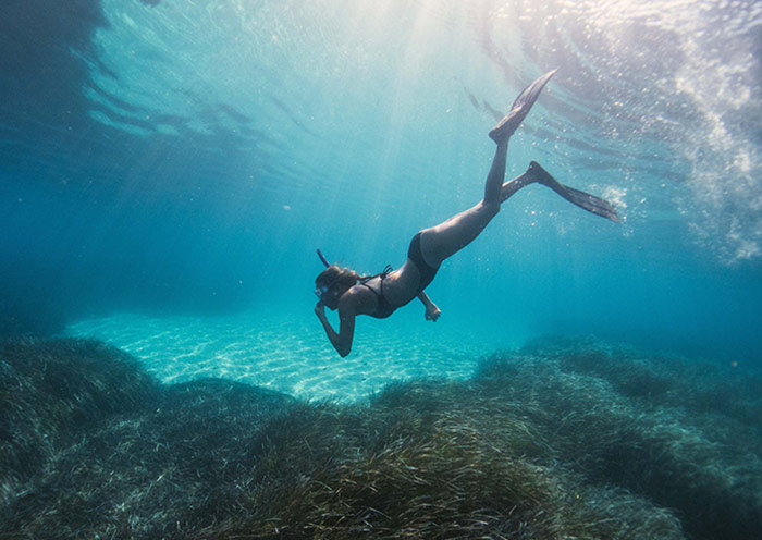 Snorkeling Safari