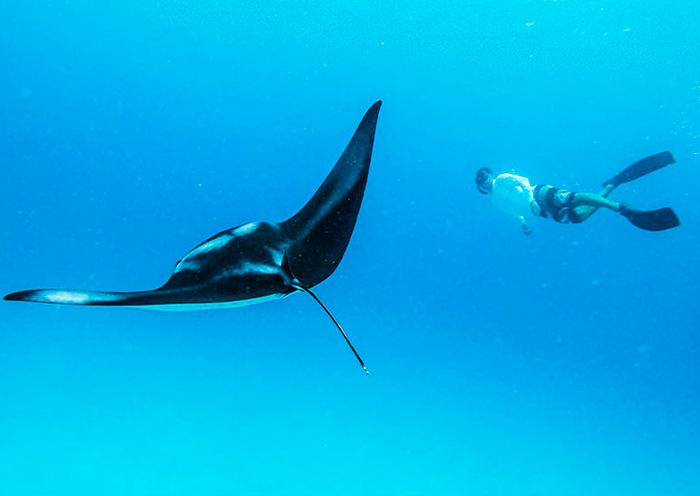 Snorkeling