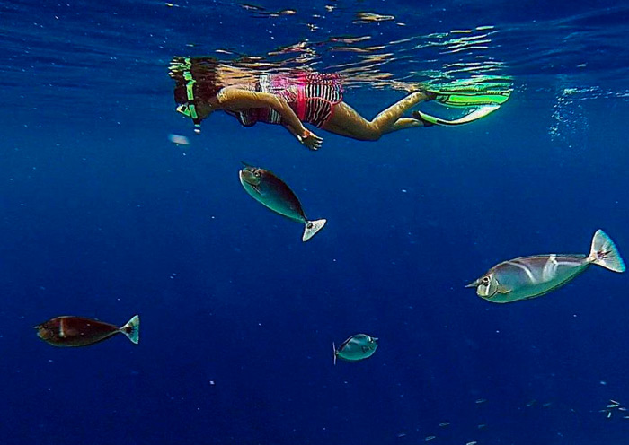 Snorkeling